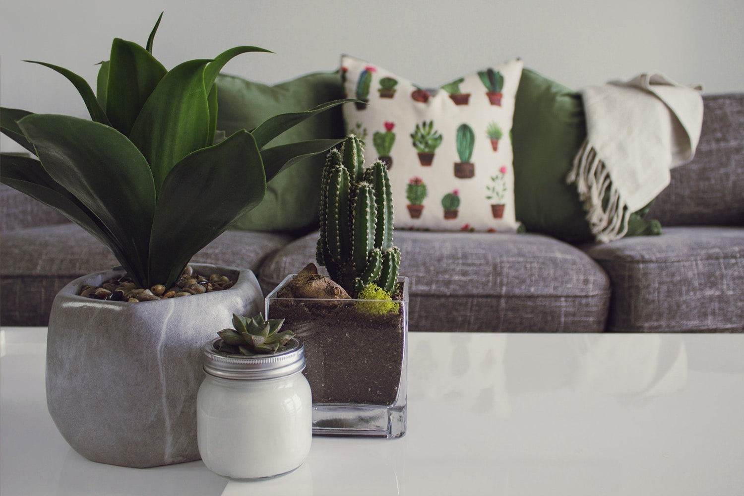 Decorative Accents