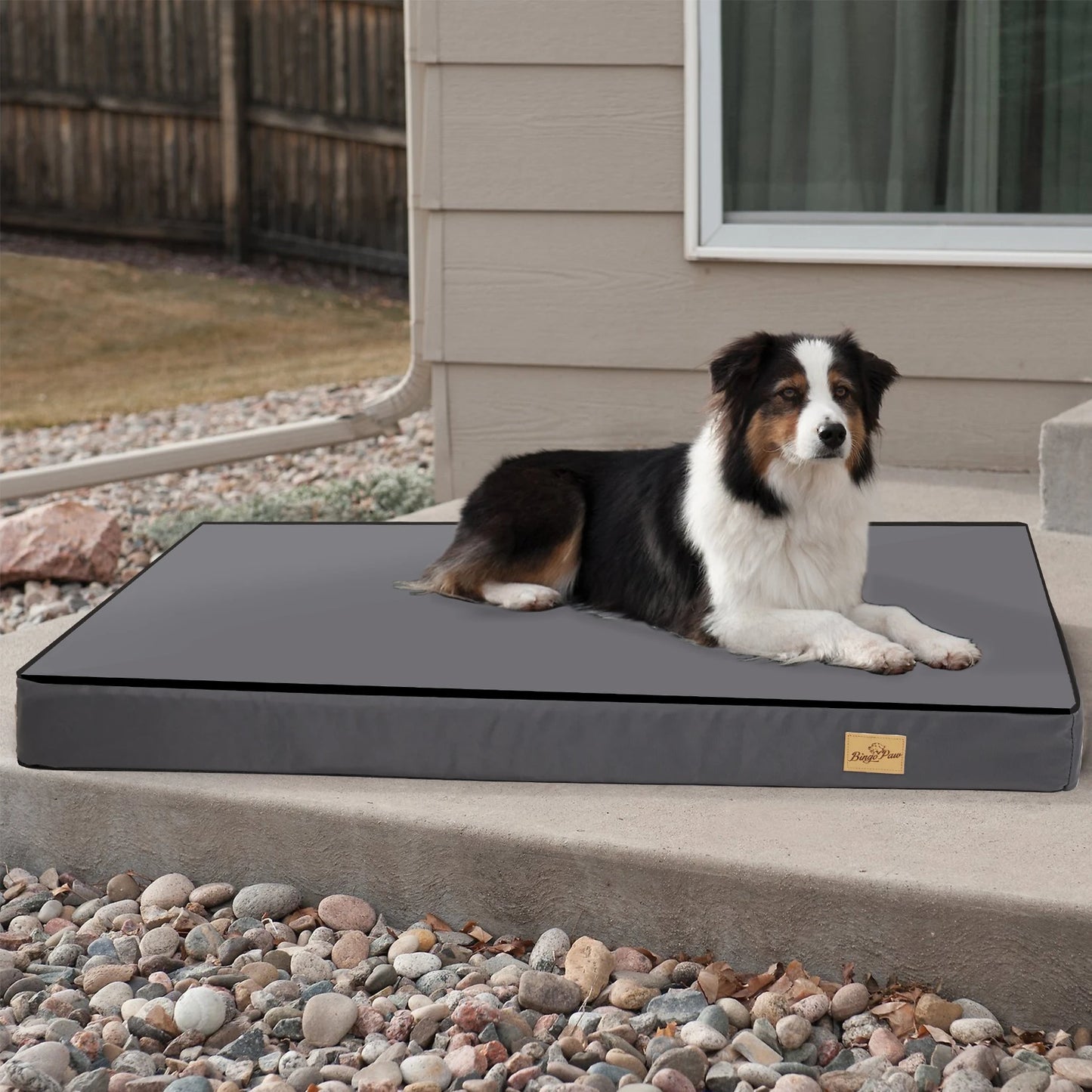 BINGOPAW CN Orthopedic Washable Dog Bed With Foam