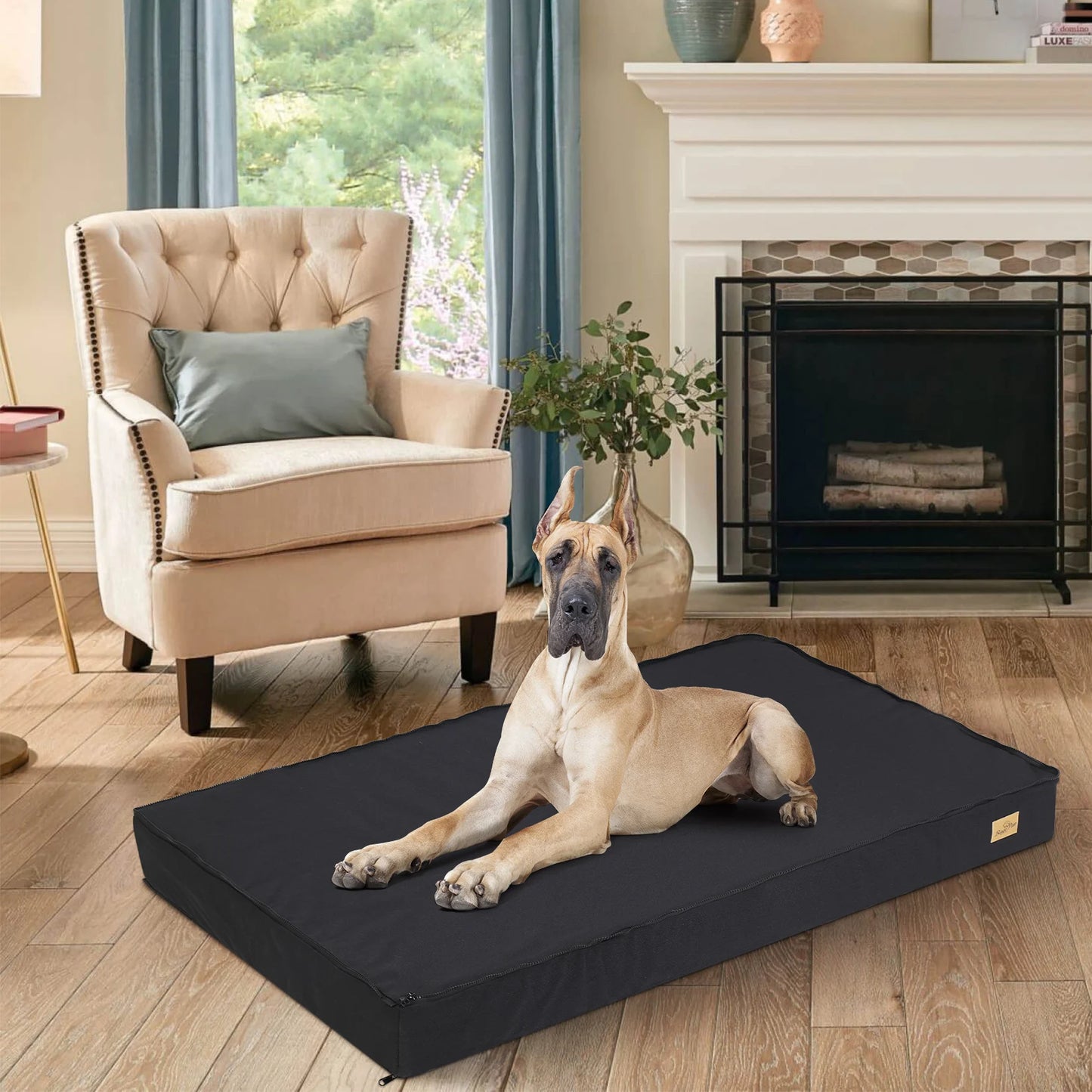 BINGOPAW CN Orthopedic Washable Dog Bed With Foam