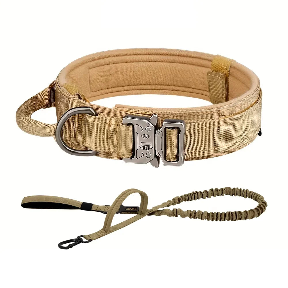 Dog Training Collar And Leash Set With Control Handle
