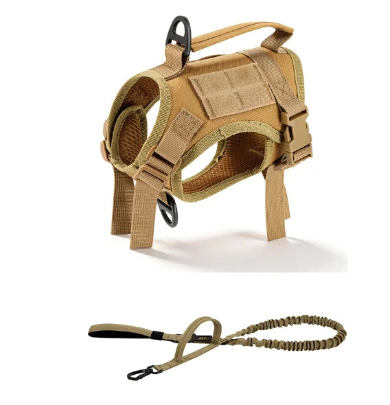Padded Cat Harness and Leash Set with Quick Release