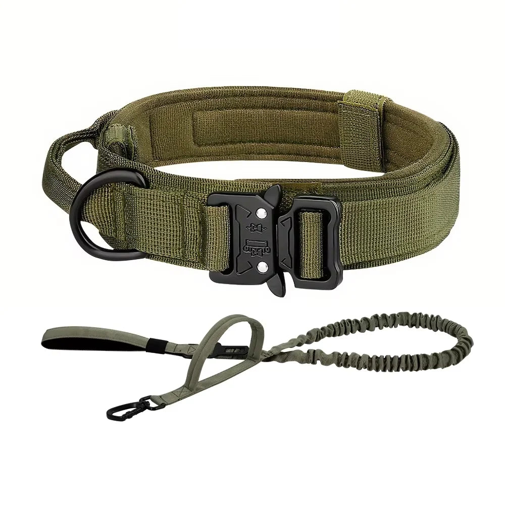 Dog Training Collar And Leash Set With Control Handle
