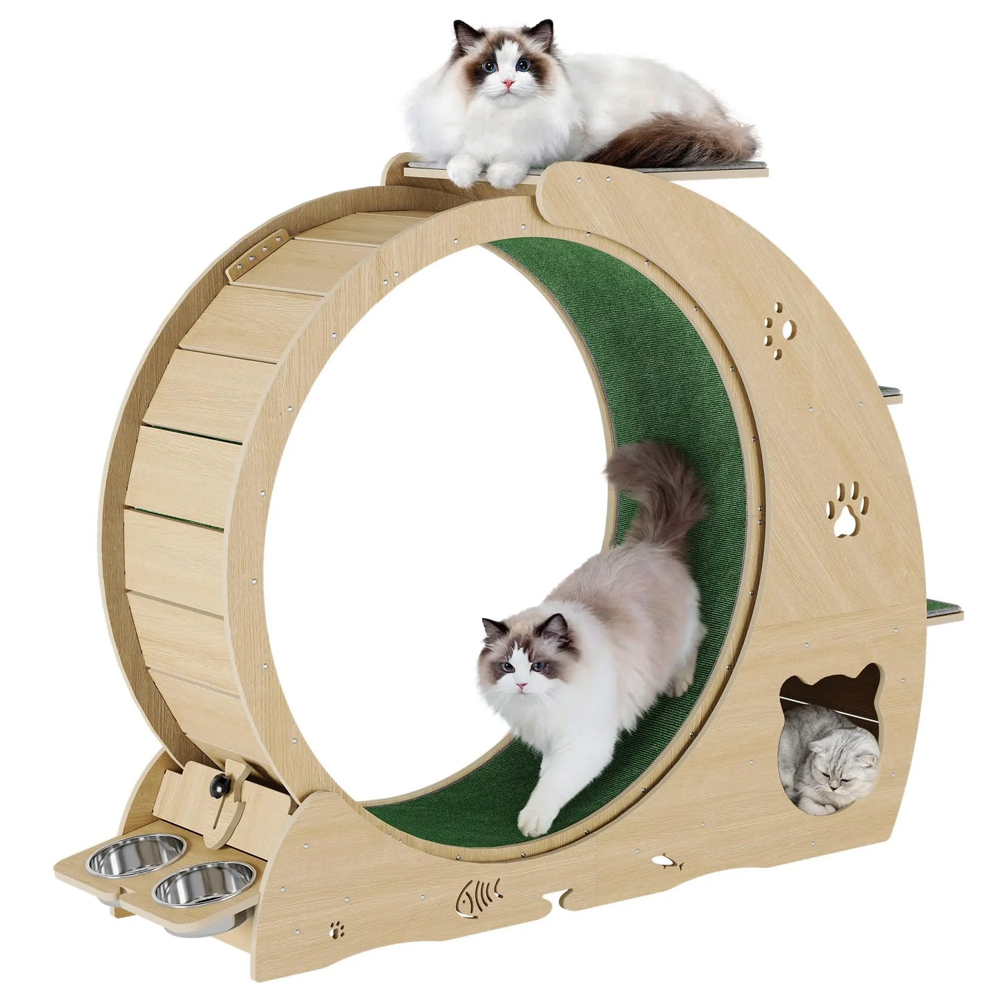 HiMISS Quiet Multifunctional Cat Exercise Wheel