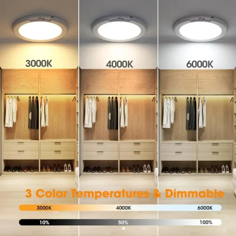 Rechargeable Motion Sensor Ceiling Light With Remote