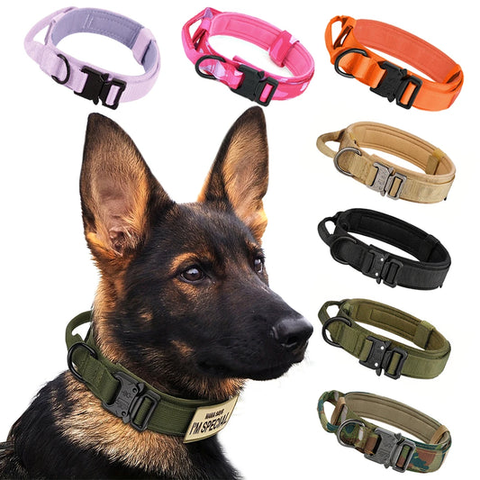 Dog Training Collar And Leash Set With Control Handle