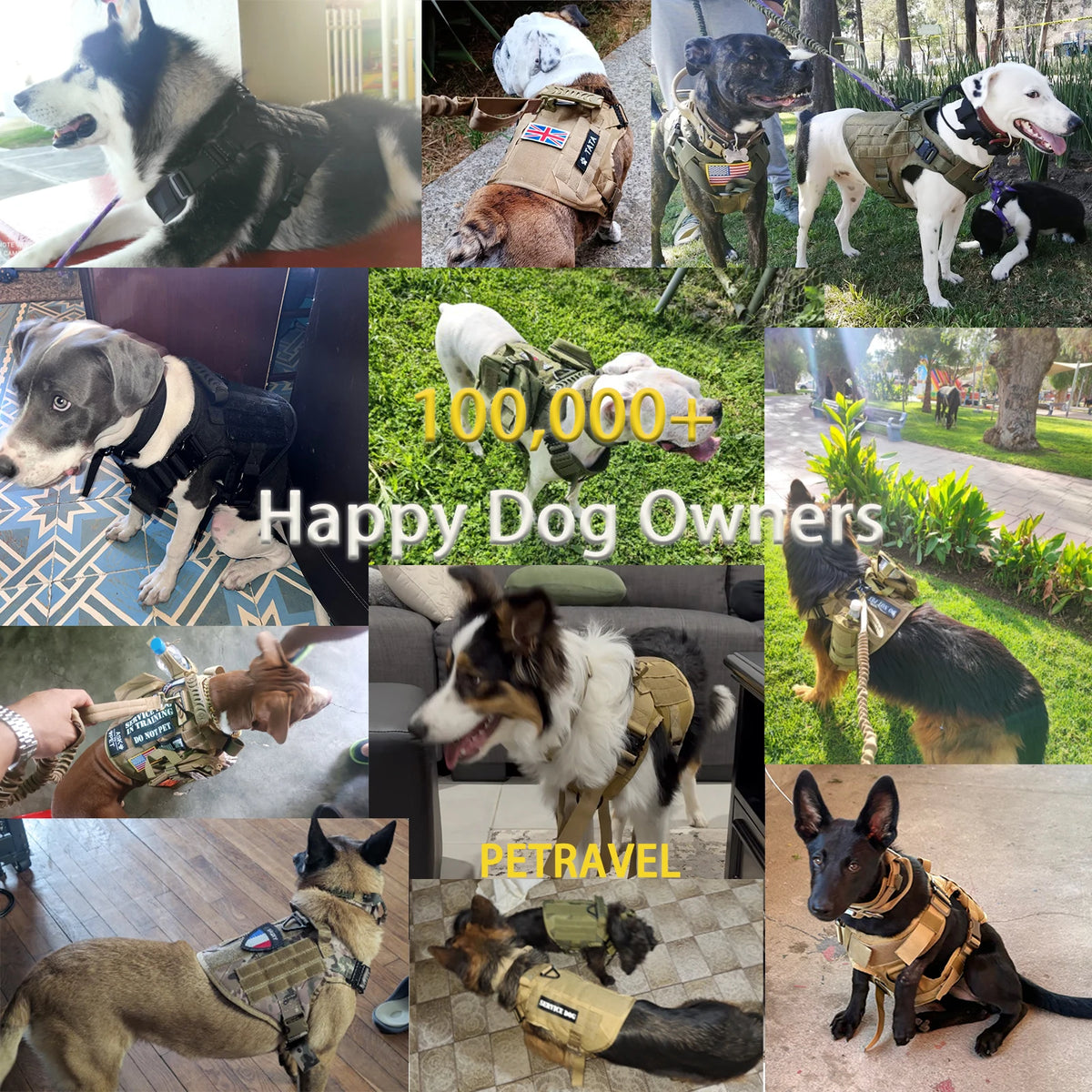 Tactical Dog Harness With Molle Pouches For Dogs