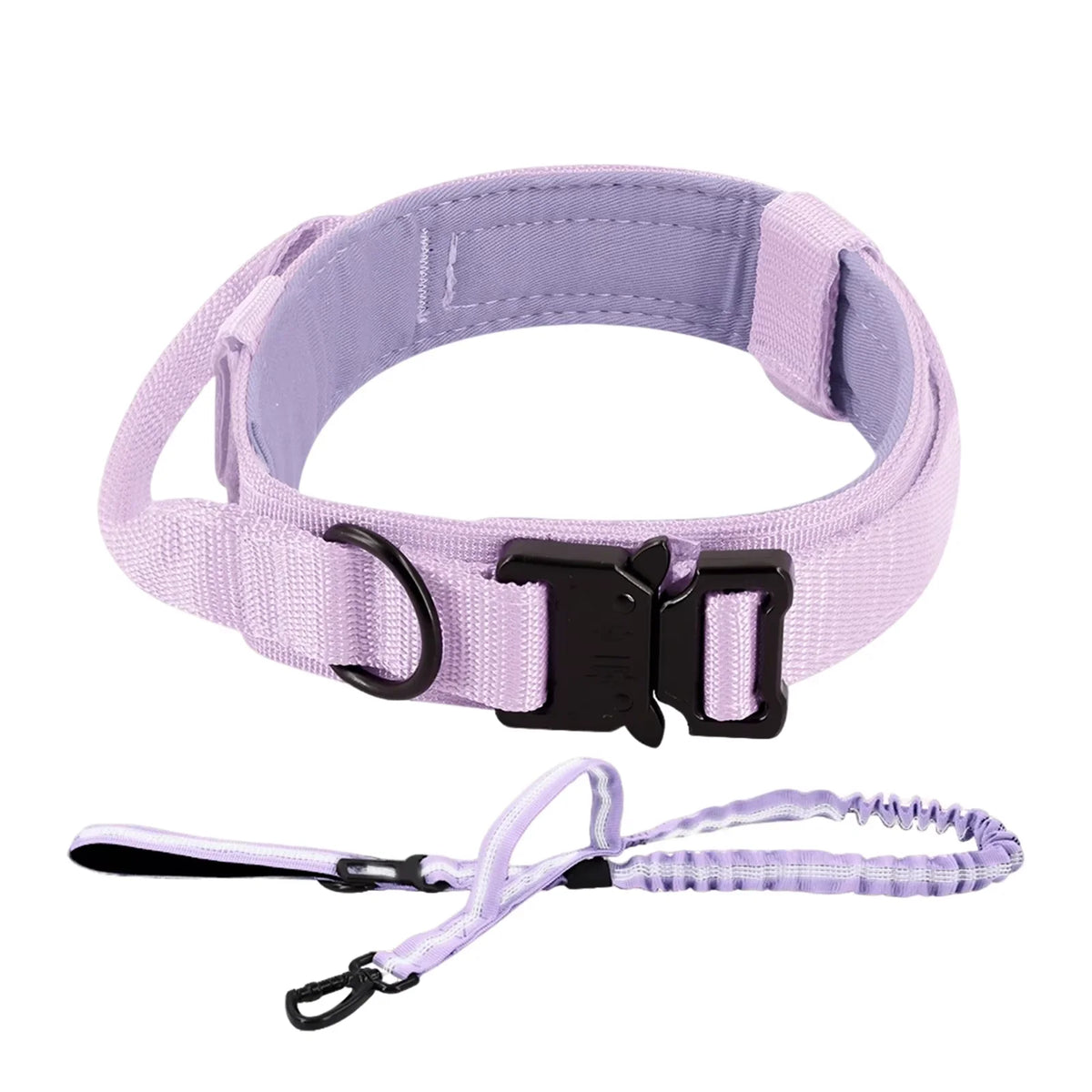 Dog Training Collar And Leash Set With Control Handle