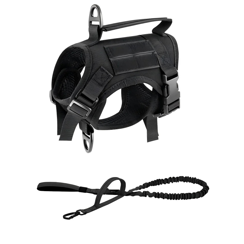 Padded Cat Harness and Leash Set with Quick Release