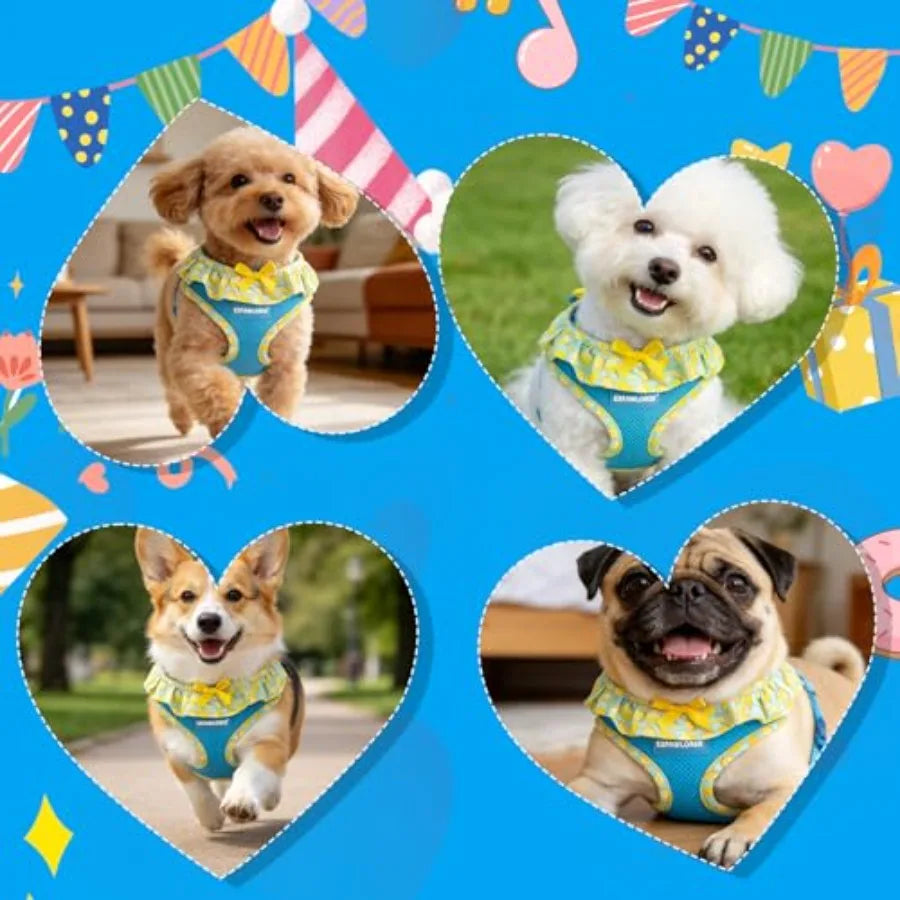 Dog Harness Leash Set Step In Adjustable No Choke Mesh Vest