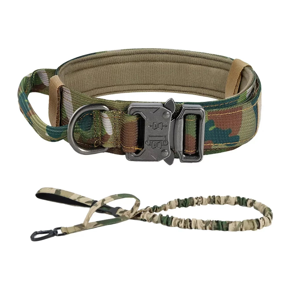 Dog Training Collar And Leash Set With Control Handle