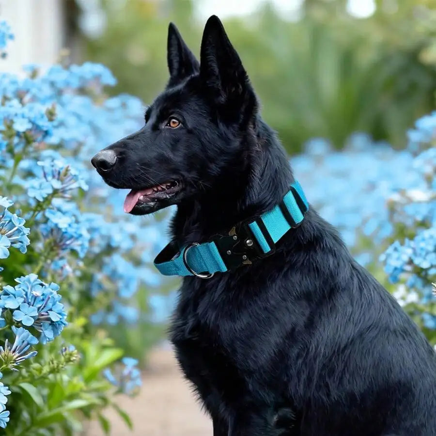 Sturdy Tactical Dog Collar With Handle For Everyday Walks