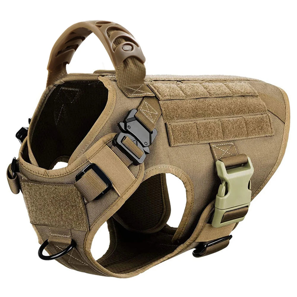Large Dog Harness And Leash Set For Training And Walking