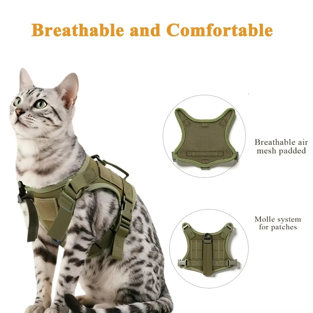 Padded Cat Harness and Leash Set with Quick Release
