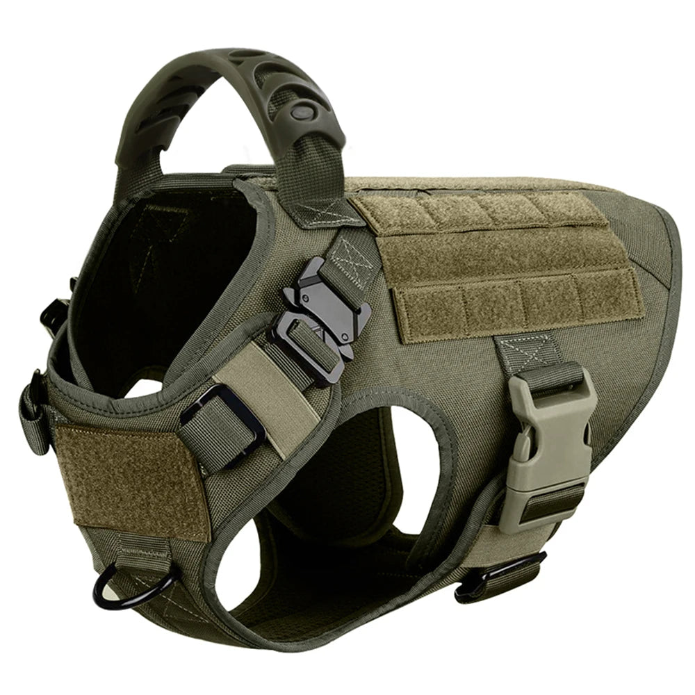 Large Dog Harness And Leash Set For Training And Walking