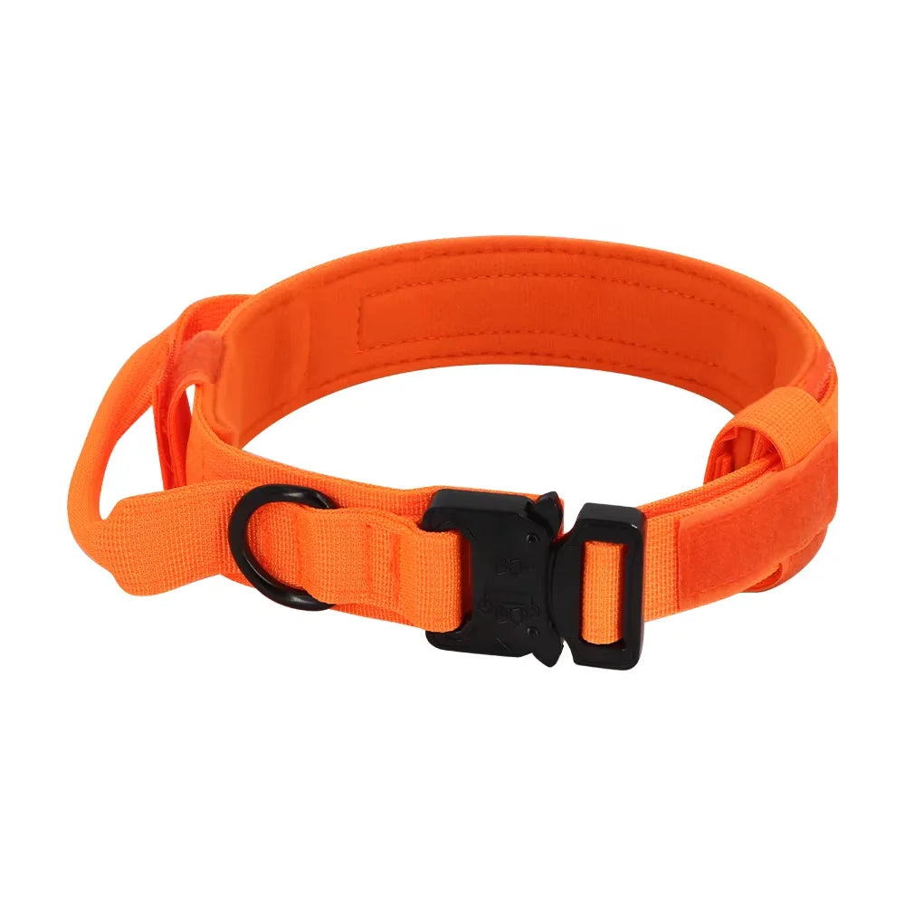 Dog Training Collar And Leash Set With Control Handle