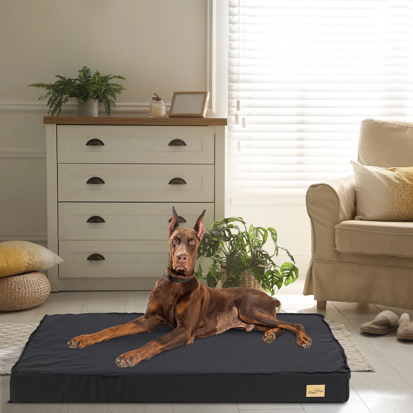 BINGOPAW CN Orthopedic Washable Dog Bed With Foam