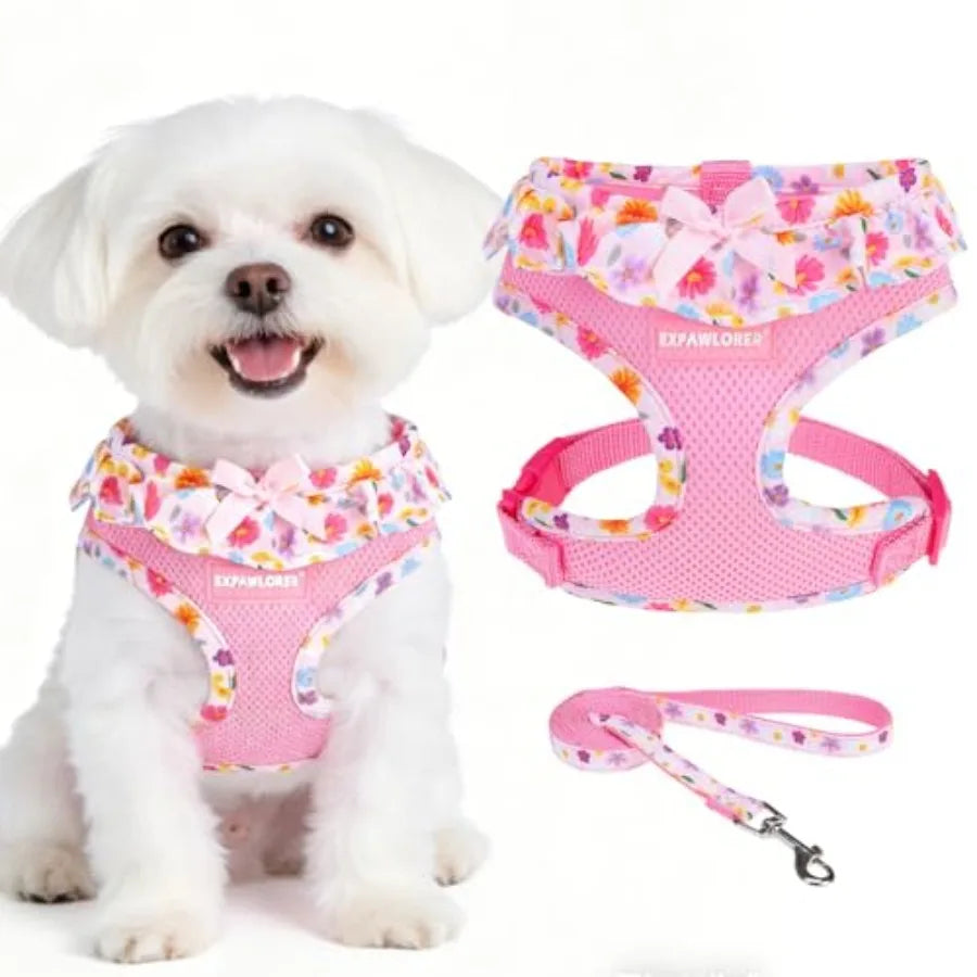 Dog Harness Leash Set Step In Adjustable No Choke Mesh Vest
