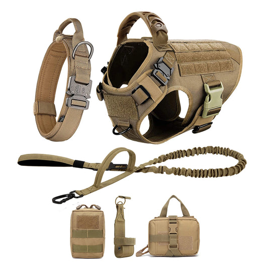 Large Dog Harness And Leash Set For Training And Walking
