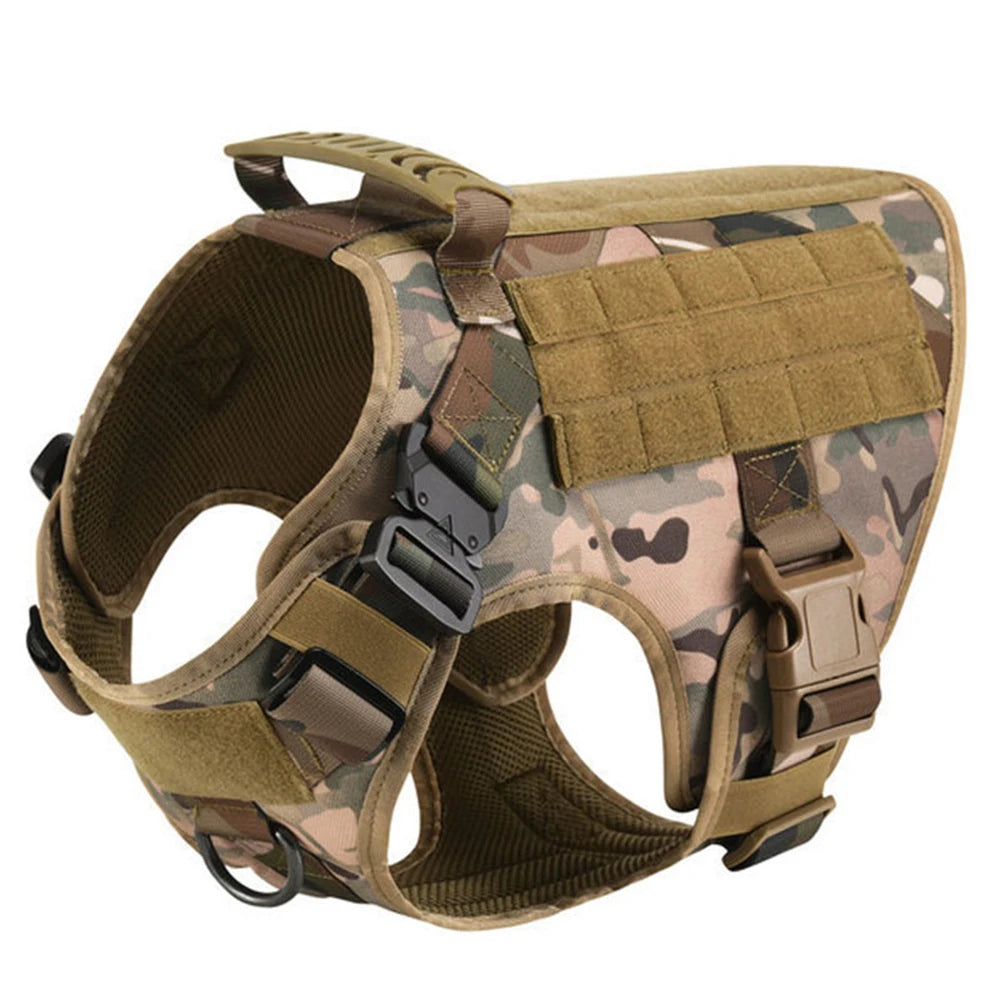 Large Dog Harness And Leash Set For Training And Walking