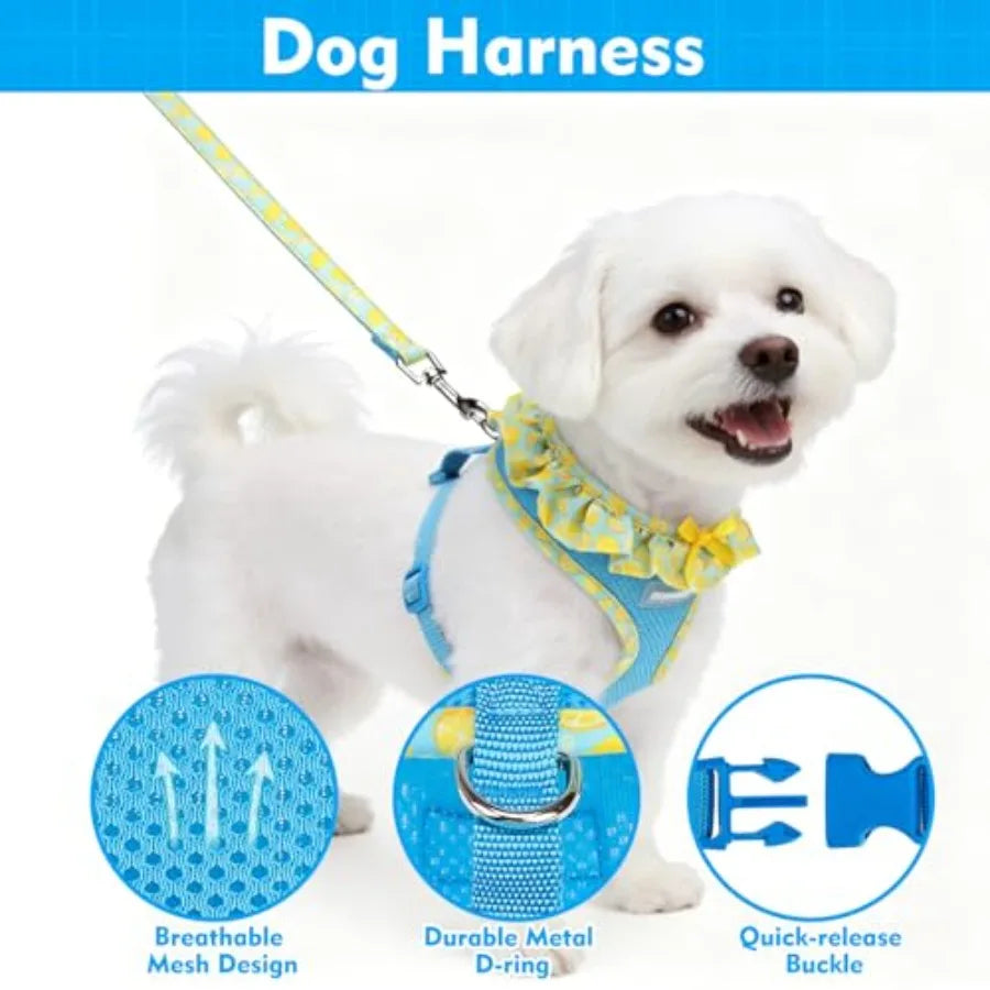 Dog Harness Leash Set Step In Adjustable No Choke Mesh Vest