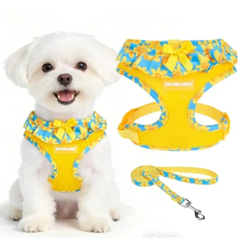 Dog Harness Leash Set Step In Adjustable No Choke Mesh Vest