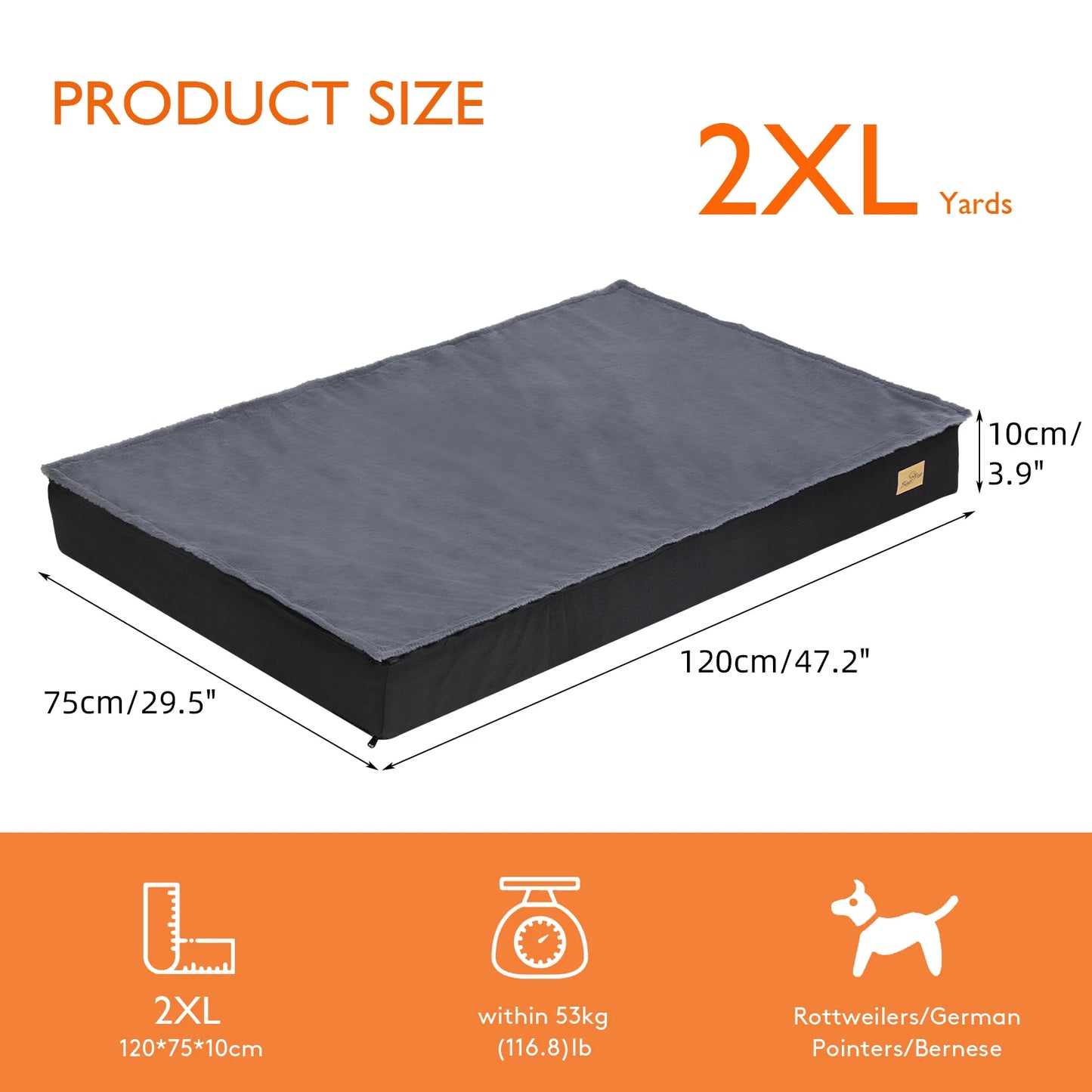 BINGOPAW CN Orthopedic Washable Dog Bed With Foam