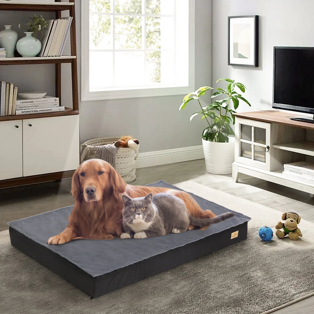 BINGOPAW CN Orthopedic Washable Dog Bed With Foam