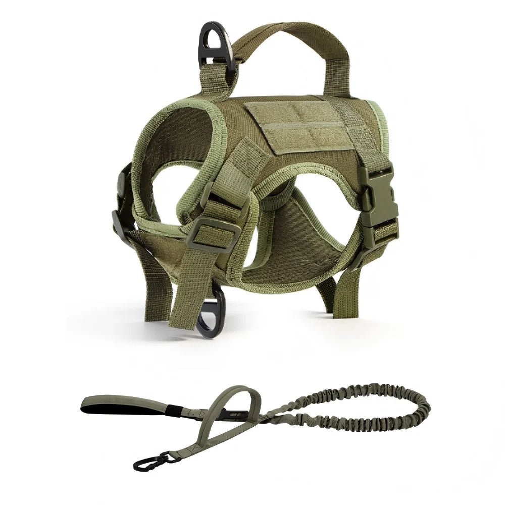 Padded Cat Harness and Leash Set with Quick Release
