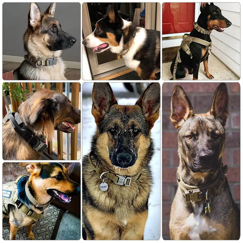 Dog Training Collar And Leash Set With Control Handle