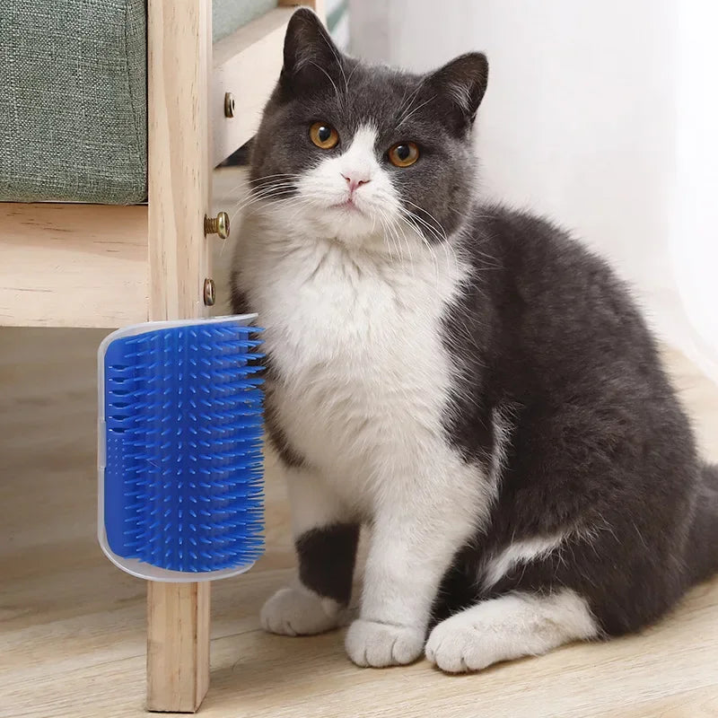 Cat Scratcher Massage Comb With Catnip Deshedding Brush