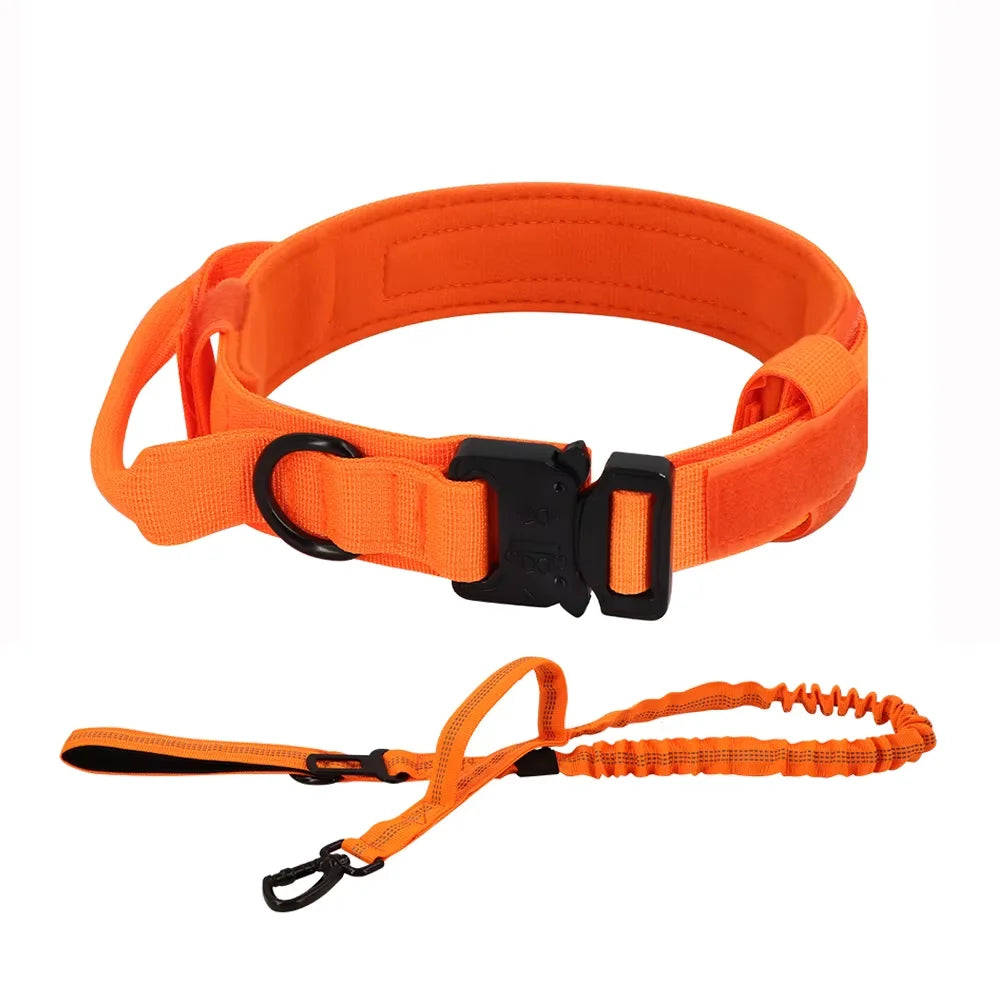 Dog Training Collar And Leash Set With Control Handle