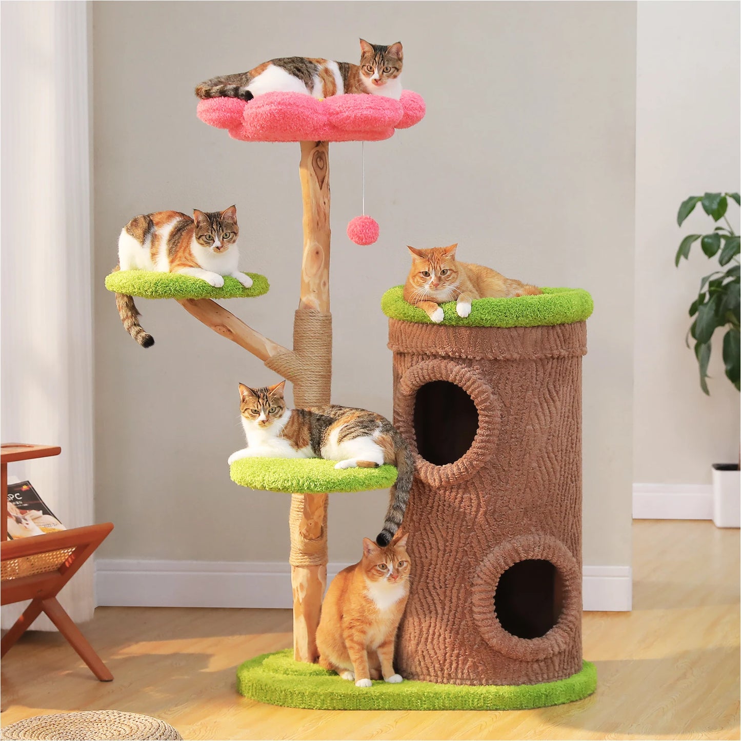 PAWZ Road Indoor Cat Tree With Flower Top Bed