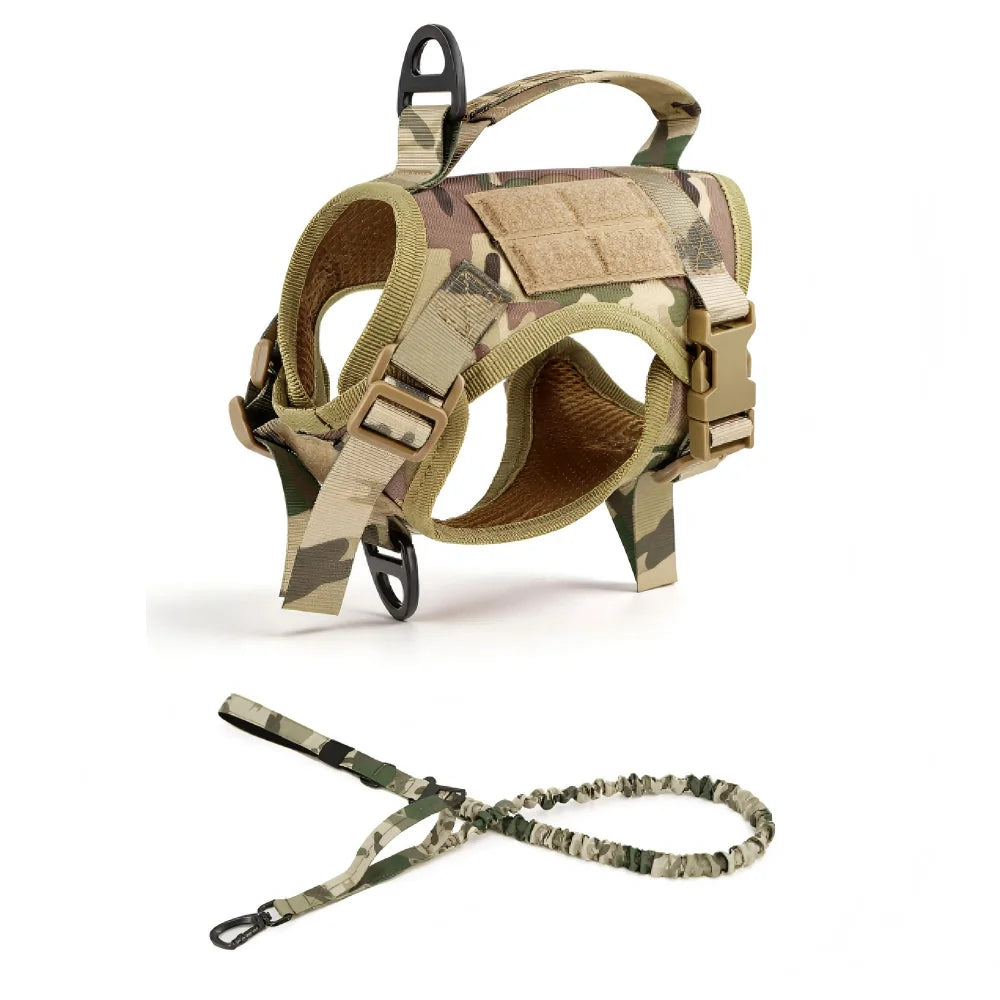 Padded Cat Harness and Leash Set with Quick Release