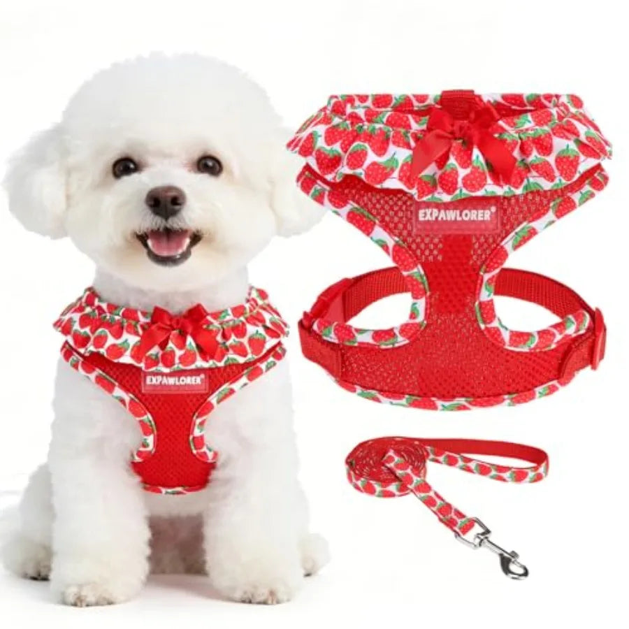 Dog Harness Leash Set Step In Adjustable No Choke Mesh Vest