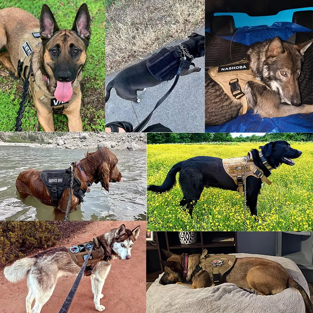 Tactical Dog Harness And Leash Set Adjustable For Training