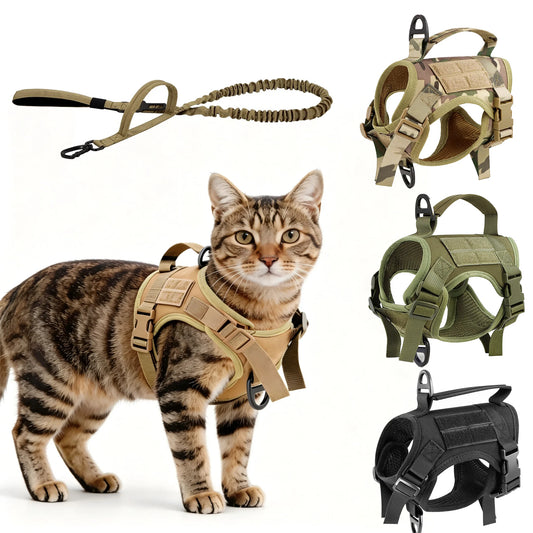 Padded Cat Harness and Leash Set with Quick Release