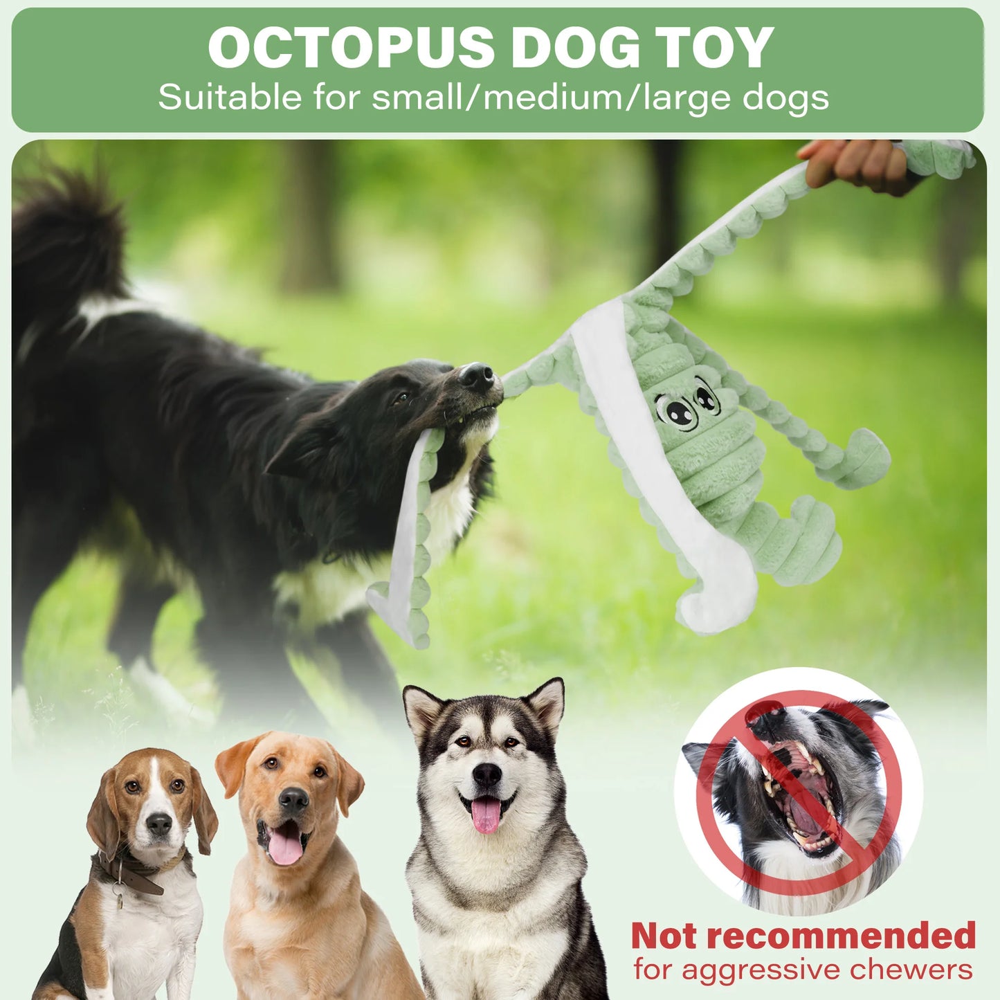 Squeaky Plush Dog Toy Teeth Grinding Chew Toy