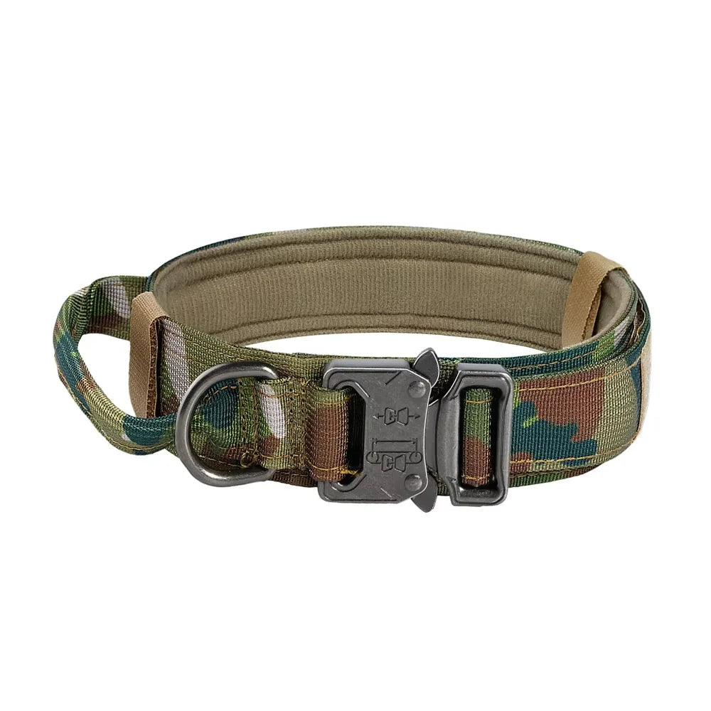 Dog Training Collar And Leash Set With Control Handle